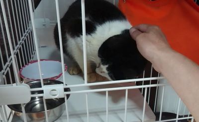 画像に alt 属性が指定されていません。ファイル名: chiko12.jpg